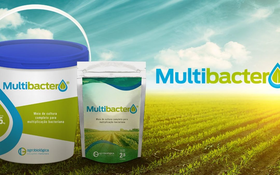 Multibacter