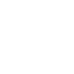 romi-1